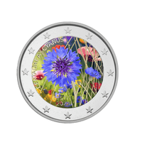 Estonie 2024 - 2 Euro Commémorative - Le Bleuet, Fleur Nationale - Colorisée