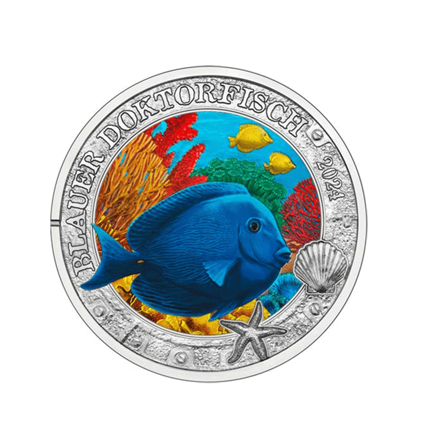 Autriche 2024 - Poisson Chirurgien bleu - Monnaie de 3 Euro Commémorative