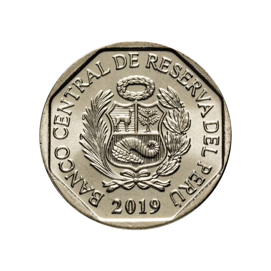 Peru - 1 Boden - gelb -gereiztes Lagotrhe - 2019